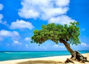 爱游戏tv-铁壁与蓝图，斯通斯如何以防守艺术瓦解英格兰的进攻企图