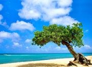 爱游戏tv-铁壁与蓝图，斯通斯如何以防守艺术瓦解英格兰的进攻企图