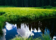 爱游戏APP-蒂亚戈一锤定音，洪都拉斯上演逆转好戏，乌克兰人黯然神伤