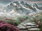 爱游戏官方-教科书不只属于NBA，广厦队淘汰猛龙背后的詹姆斯式智慧