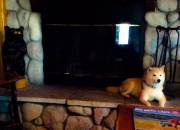 爱游戏大厅-焦点之夜，基米希的救赎与马里铸就的叹息之墙