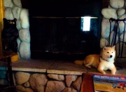 爱游戏大厅-焦点之夜，基米希的救赎与马里铸就的叹息之墙