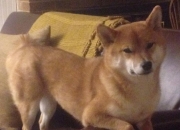 爱游戏-曼城爆冷，阿根廷逆袭，一场奥运前哨战的败者启示录