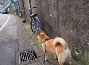 爱游戏下载-梅西的不合时宜，当哥斯达黎加遇见伊拉克，足球的隐喻与真实