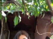 爱游戏APP-绰号撕裂优雅，意甲焦点夜，范弗利特如何让维罗纳颤抖？