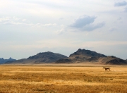 爱游戏官网-欧冠联赛次轮，广厦破晓之战