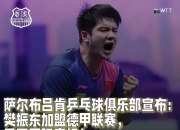 爱游戏在线-包含德国乒乓球队完胜日本乒乓球队，樊振东打破历史纪录的词条