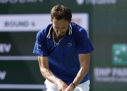 爱游戏APP-关于欧洲网球队爆冷德国网球队，梅德韦杰夫打破历史纪录的信息