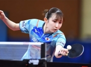 爱游戏官网-法国队完胜日本队，马琳关键制胜