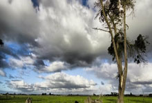 爱游戏体育-经验球员关键得分，助球队逆转局势的简单介绍