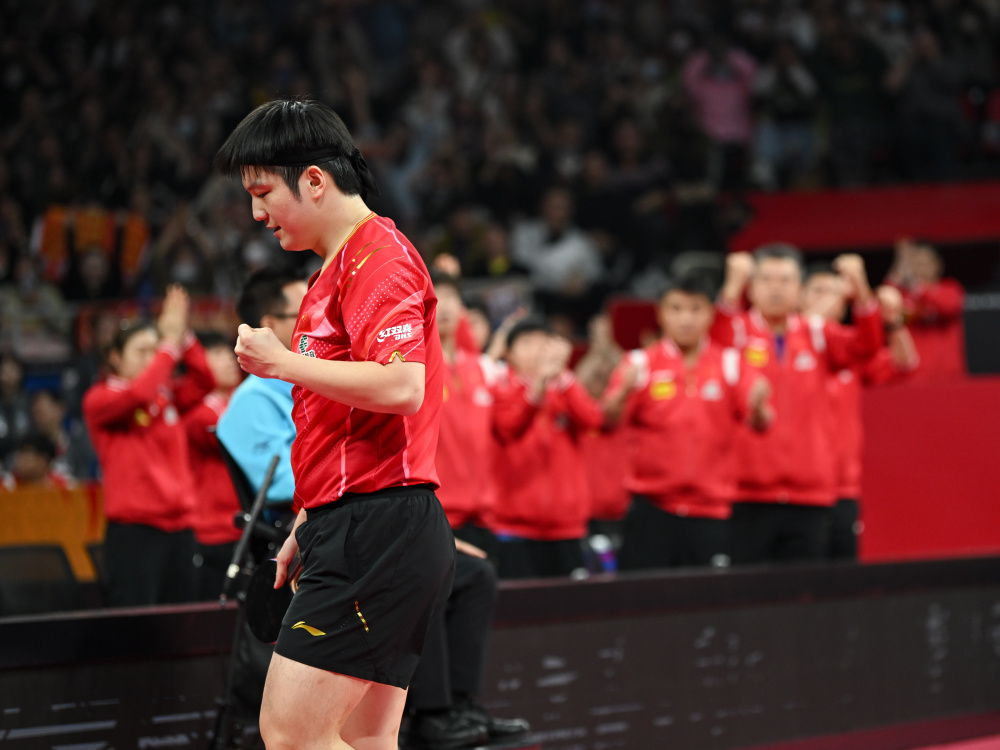 法国乒乓球队完胜中国乒乓球队，樊振东打破历史纪录的简单介绍