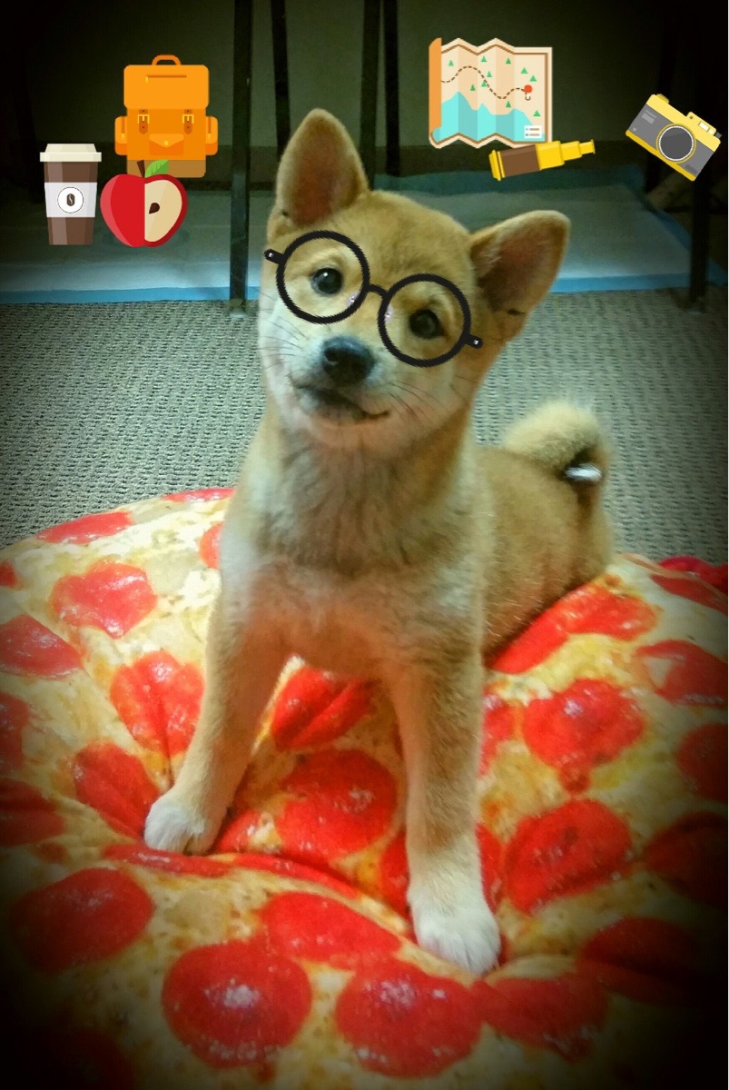 库尔图瓦神勇爆发引领胜利，丹麦险胜厄瓜多尔演绎绿茵悬念