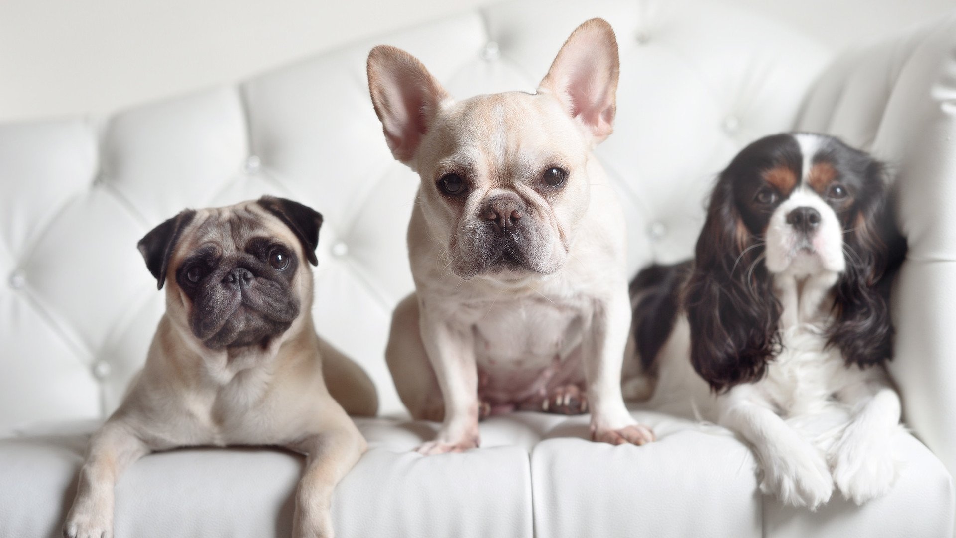 单节风暴定乾坤，小贾伦末节统治攻防—新疆队力克强敌太阳