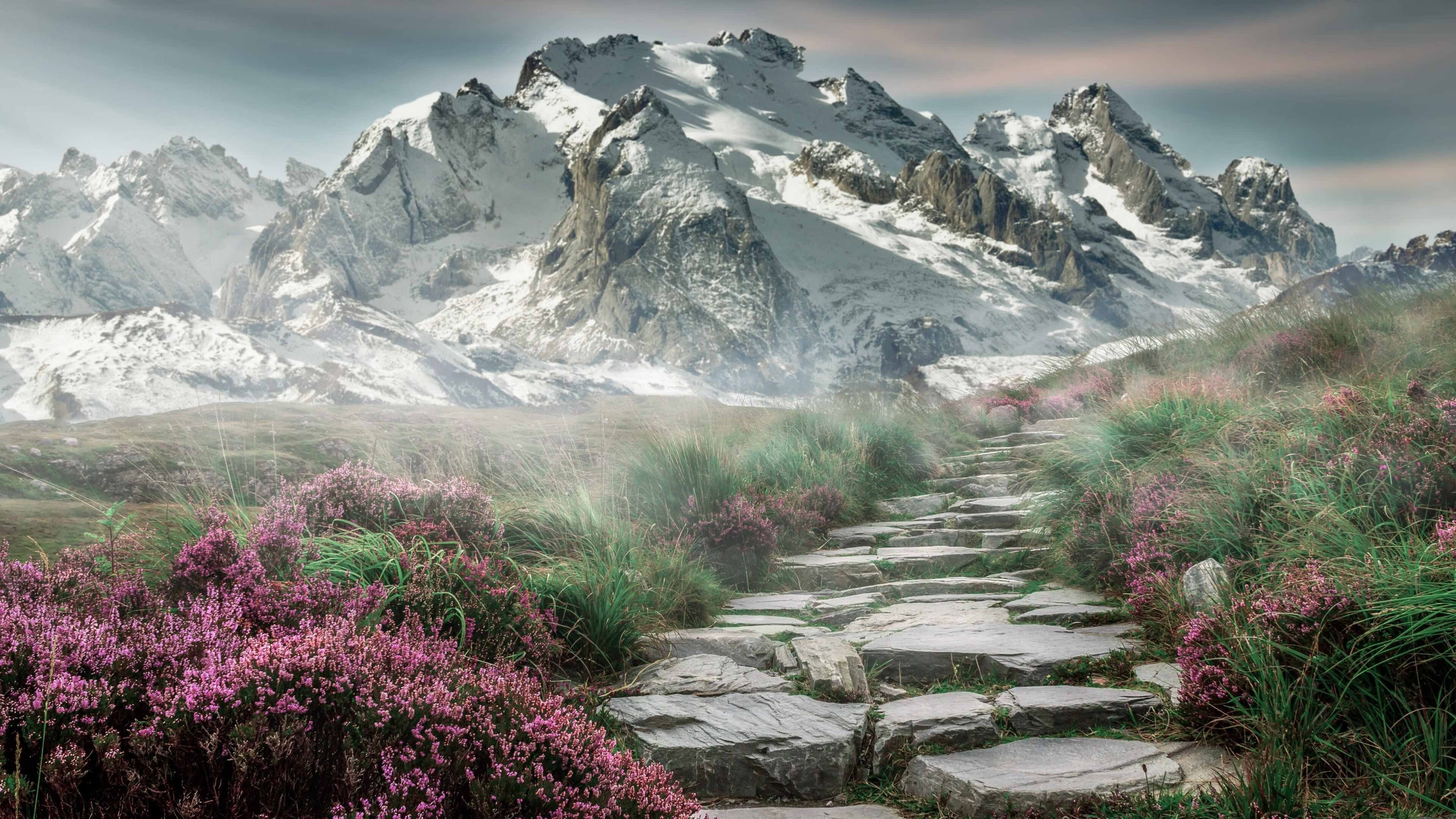 教科书不只属于NBA,广厦队淘汰猛龙背后的詹姆斯式智慧