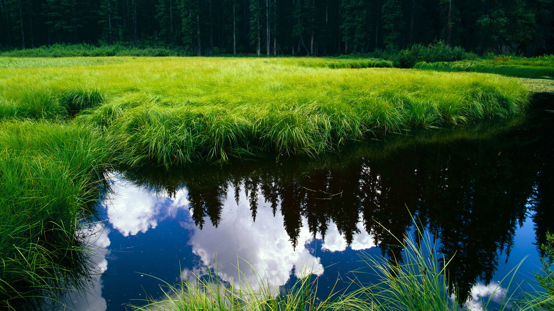 教科书不只属于NBA,广厦队淘汰猛龙背后的詹姆斯式智慧