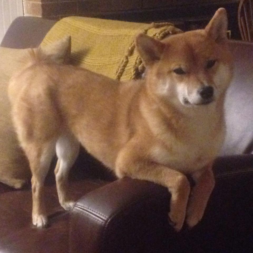 曼城爆冷，阿根廷逆袭，一场奥运前哨战的败者启示录