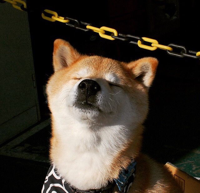 皮克临危救主，爱尔兰战术革命压制西班牙，红龙之心点燃逆转火焰