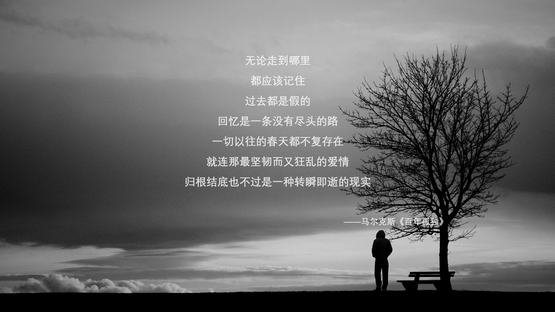 南美风暴席卷欧洲，布鲁诺一锤定音，委内瑞拉完胜奥地利启示录